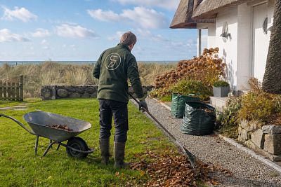Gärtner entfernt Laub von Rasen, Kiesweg und Beeten vor einem Ferienhaus auf Sylt.